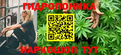 стафф Комсомольск-на-Амуре