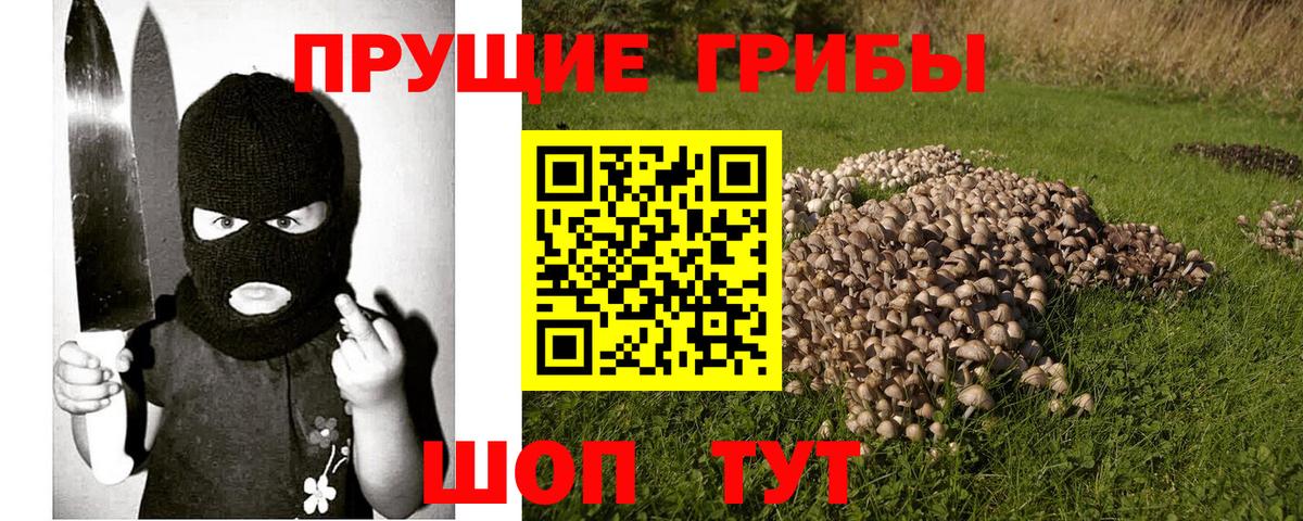 Железногорск  Галлюциногенные грибы прущие грибы  Вход с VPN 